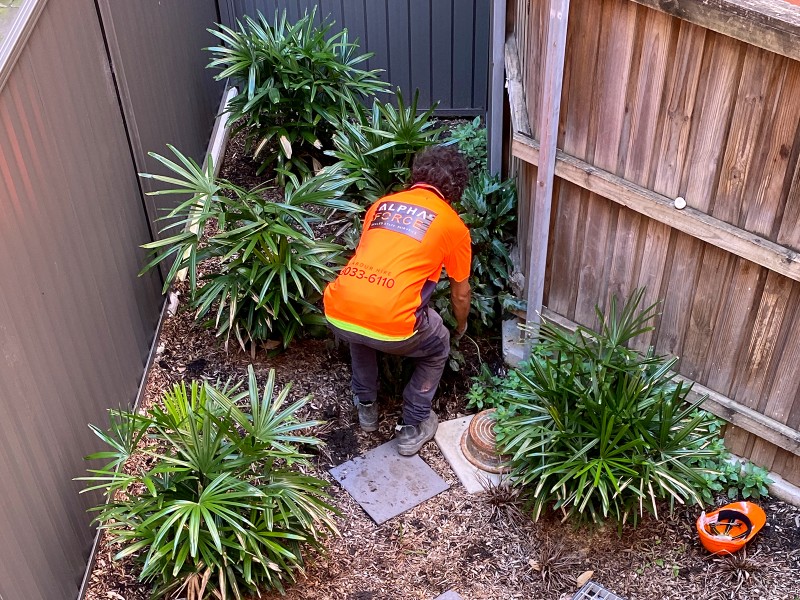 Landscaping Labour Hire Landscaping Labour Hire