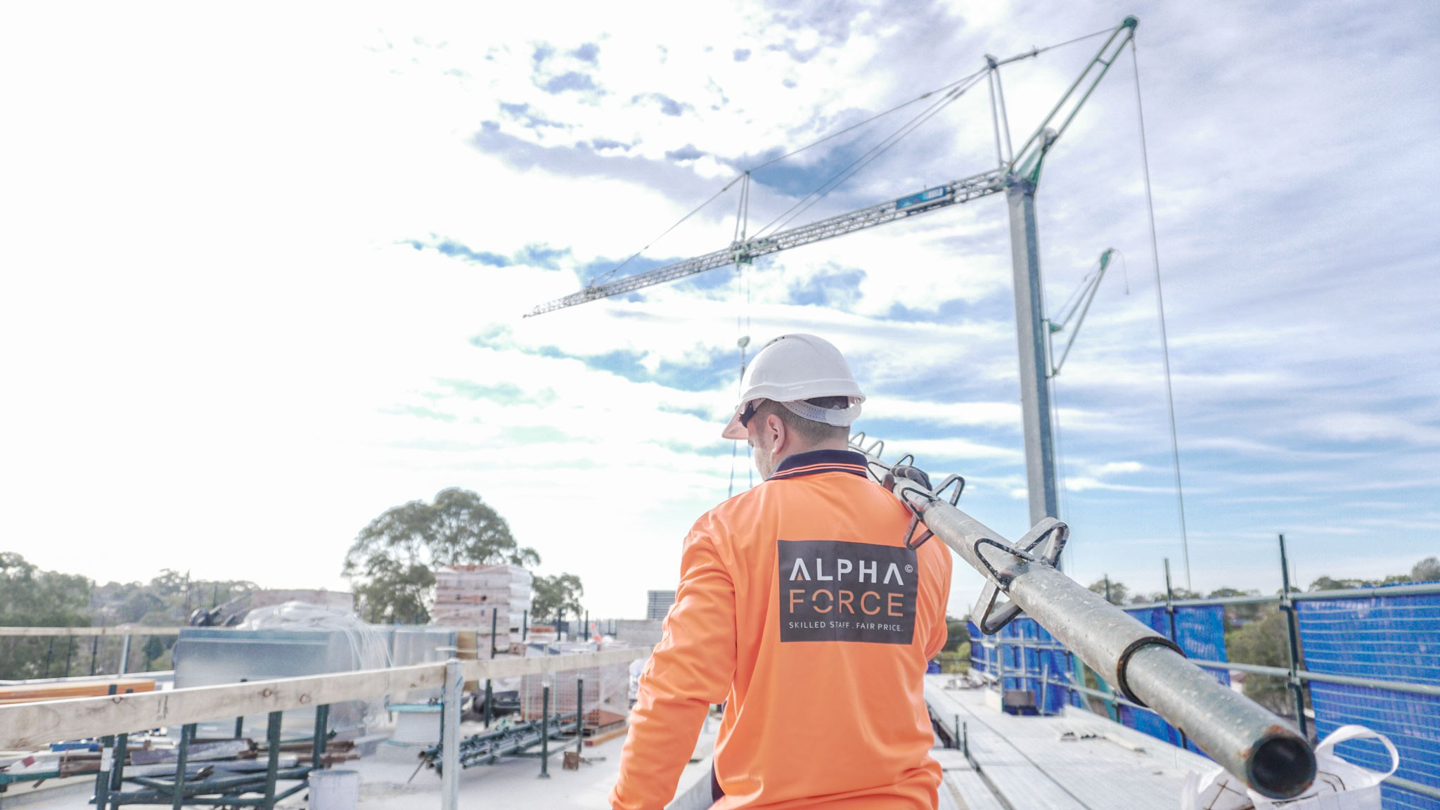 alpha-force-labour-hire